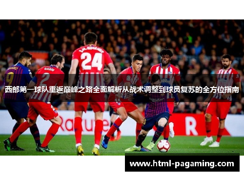 西部第一球队重返巅峰之路全面解析从战术调整到球员复苏的全方位指南