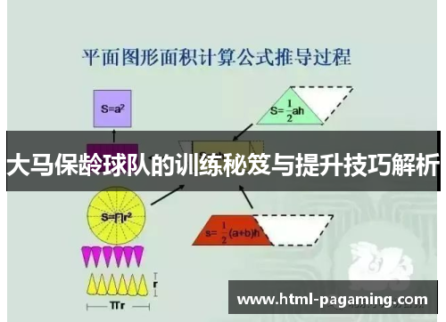 大马保龄球队的训练秘笈与提升技巧解析