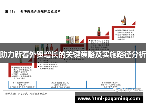 助力新春外贸增长的关键策略及实施路径分析