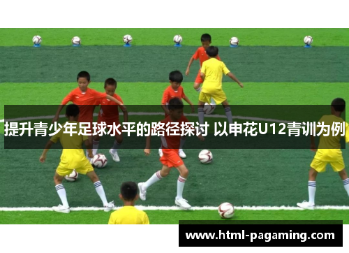 提升青少年足球水平的路径探讨 以申花U12青训为例