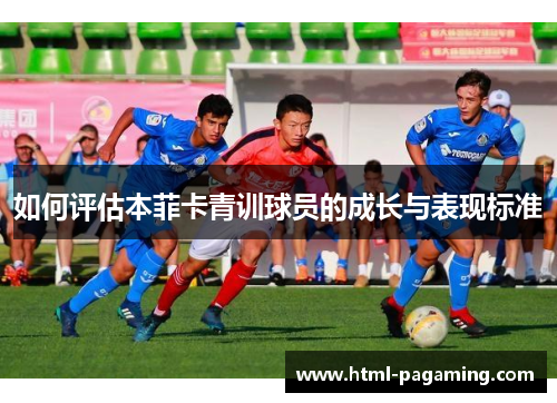 如何评估本菲卡青训球员的成长与表现标准