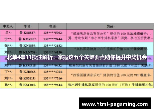北单4串11投注解析：掌握这五个关键要点助你提升中奖机会