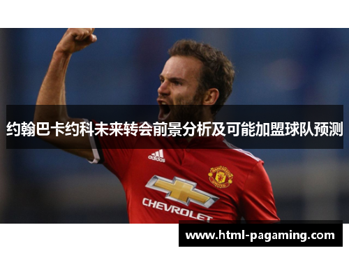 约翰巴卡约科未来转会前景分析及可能加盟球队预测