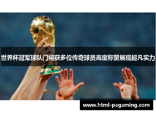 世界杯冠军球队门将获多位传奇球员高度称赞展现超凡实力
