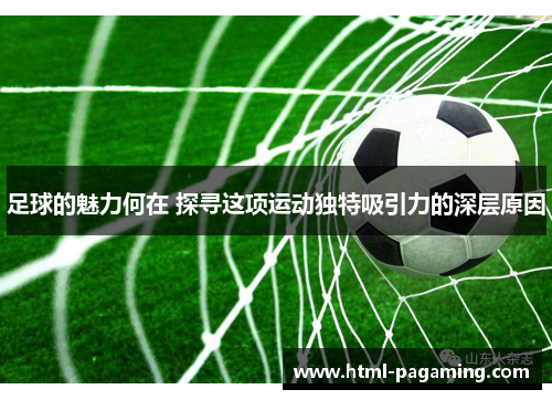 足球的魅力何在 探寻这项运动独特吸引力的深层原因
