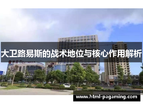 大卫路易斯的战术地位与核心作用解析