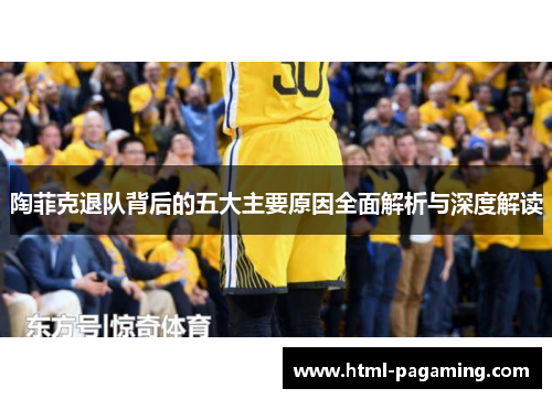 陶菲克退队背后的五大主要原因全面解析与深度解读 陶菲克退队背后的五大主要原因全面解析与深度解读