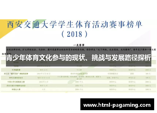 青少年体育文化参与的现状、挑战与发展路径探析