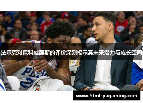 法尔克对尼科威廉斯的评价深刻揭示其未来潜力与成长空间