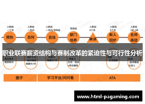 职业联赛薪资结构与赛制改革的紧迫性与可行性分析 职业联赛薪资结构与赛制改革的紧迫性与可行性分析