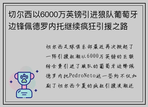 切尔西以6000万英镑引进狼队葡萄牙边锋佩德罗内托继续疯狂引援之路